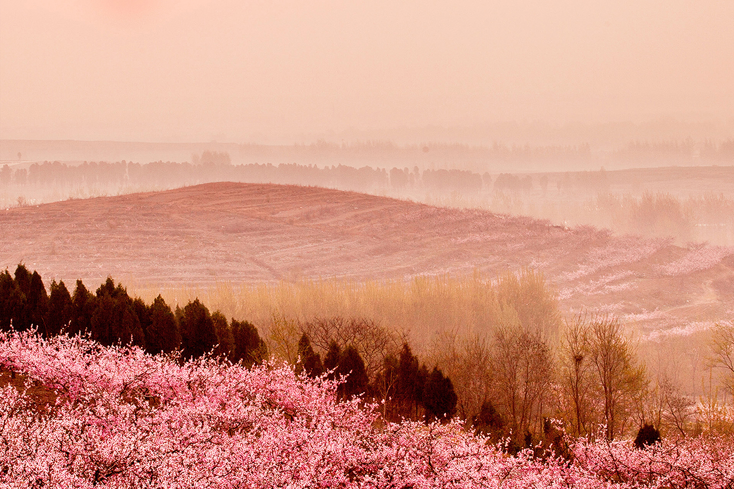 ��ʰɡ�(�й���)���޹�˾����